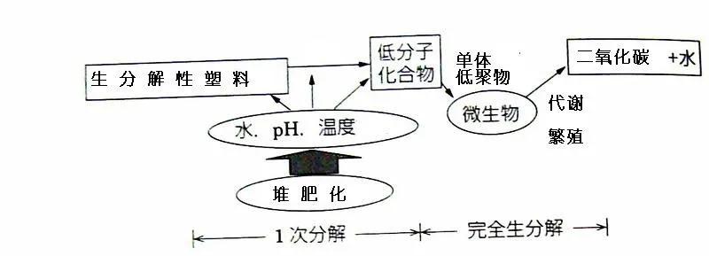 可生物降解環(huán)保塑料可以回收再利用嗎？(圖3)