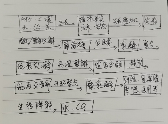 生物降解袋中的PLA是如何制得的？(圖1)