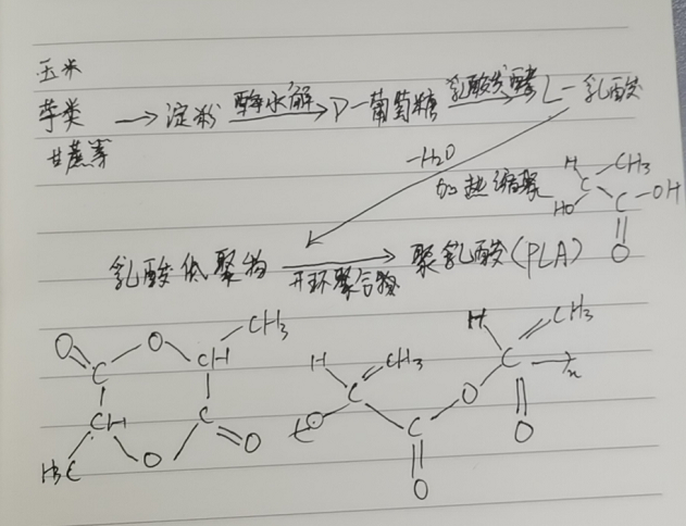 生物降解袋中的PLA是如何制得的？(圖2)